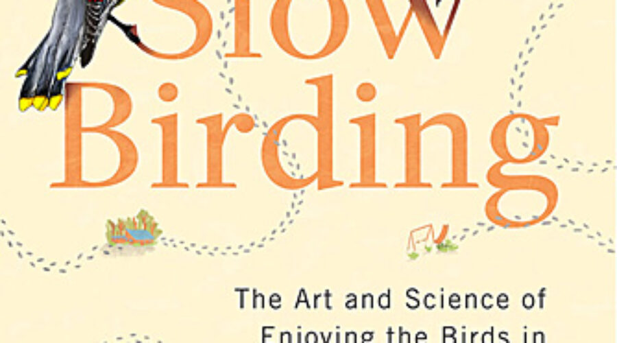 Slow Birding book cover