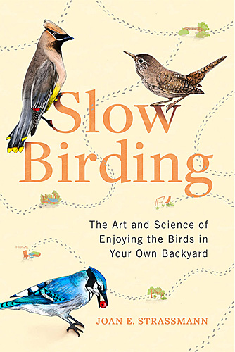 Slow Birding book cover