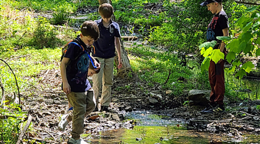 Young birders at water