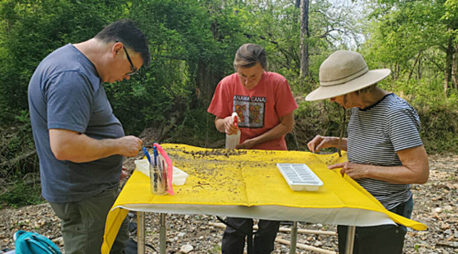 Stream Team at Crooked Run