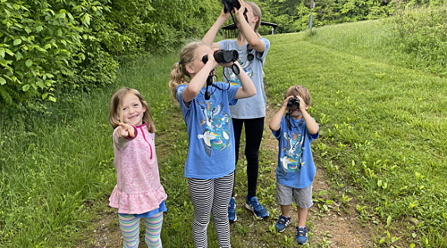 Young birders in action