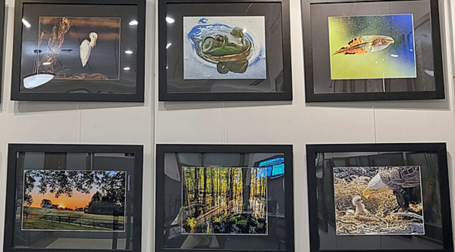Wild About Loudoun photos