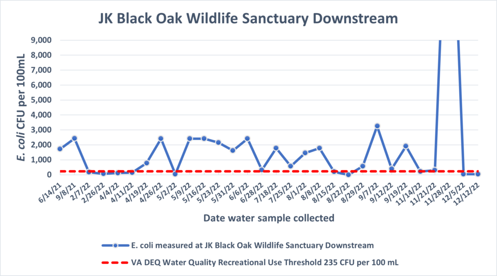 E. coli data for JK Black Oak downstream