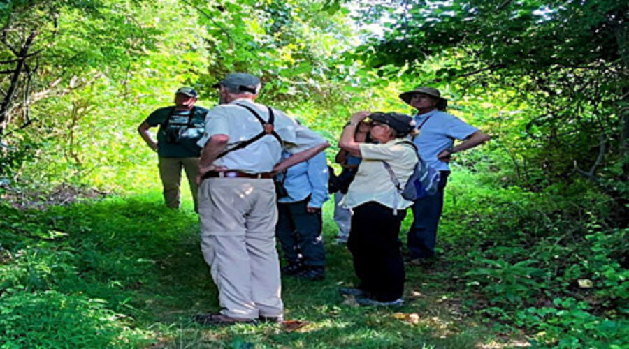 July bird walk at Banshee Reeks