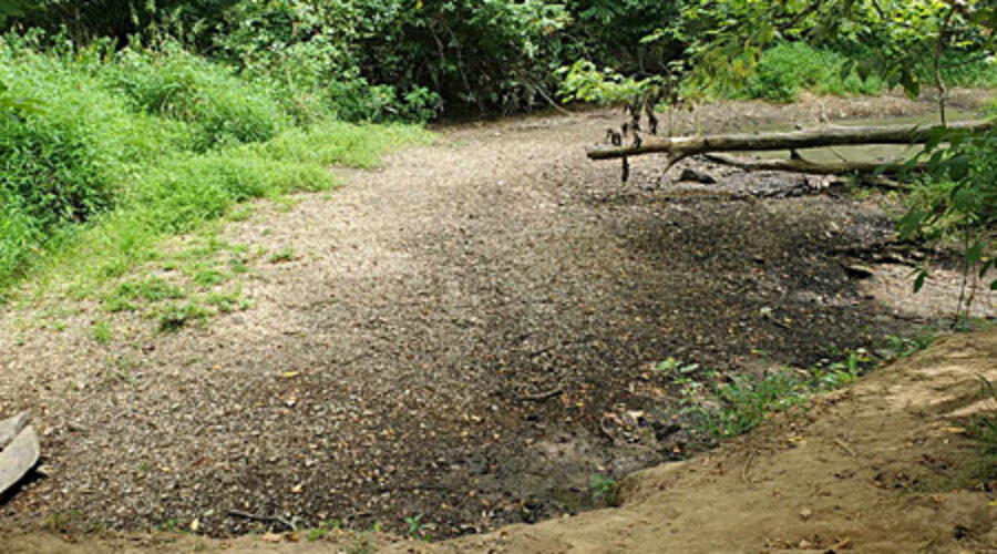South Fork of the Catoctin