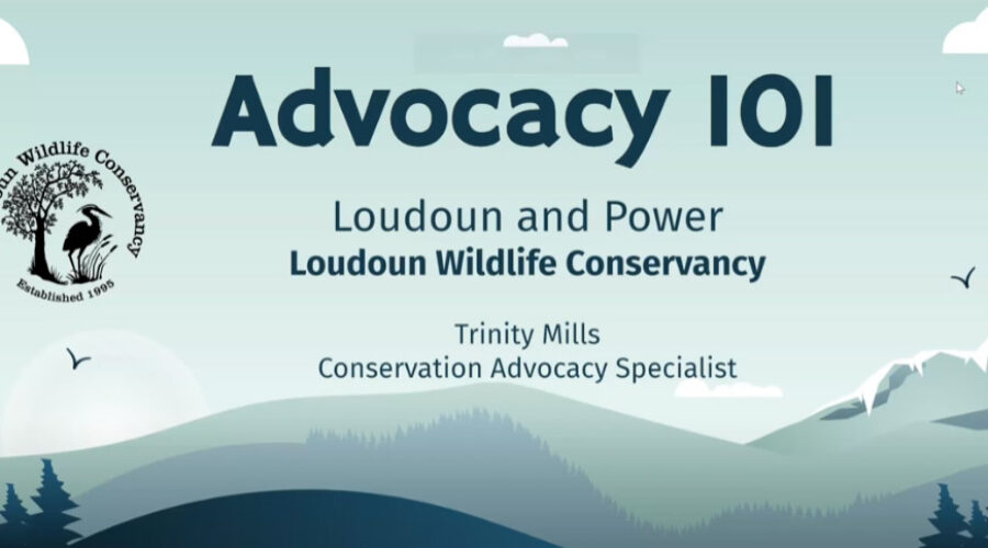 Screenshot of Loudoun and Power presentation