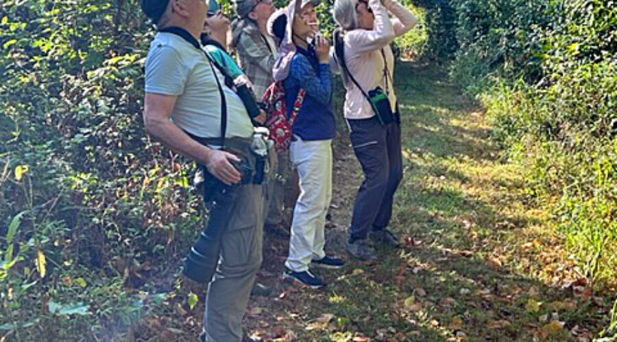 Birders on path at Banshee Reeks