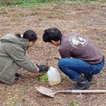 Two volunteers planting and watering