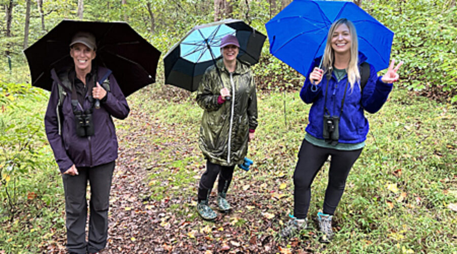 Birders in the rain at Banshee Reeks