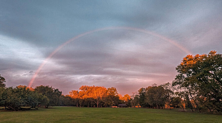 rainbow across park and river