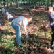 Work Day at JK Black Oak