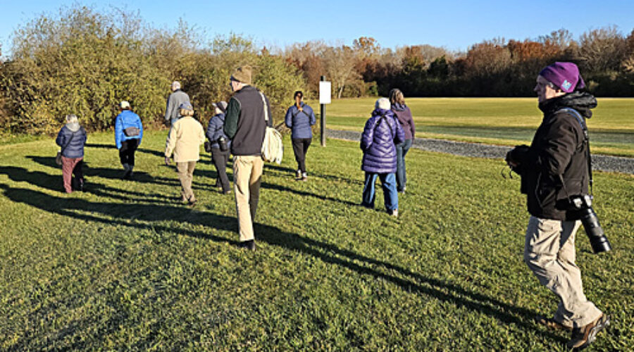 Birders at Bles Park