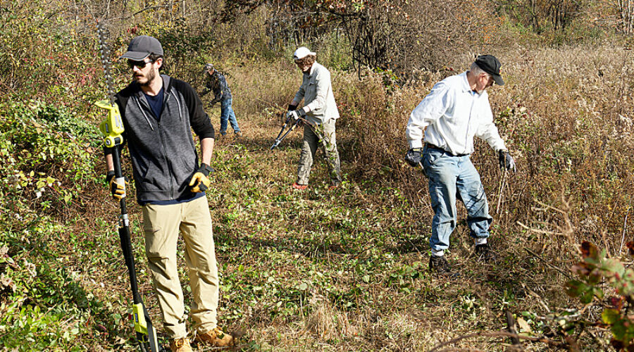 Volunteers work on clearing new path