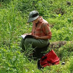 Consulting field guide to identify native plants