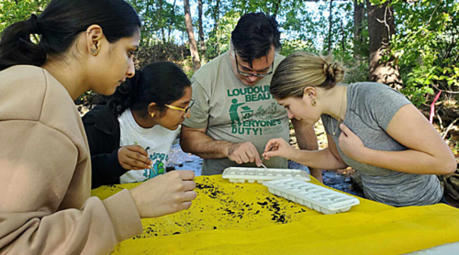Students sorting macroinvertebrates