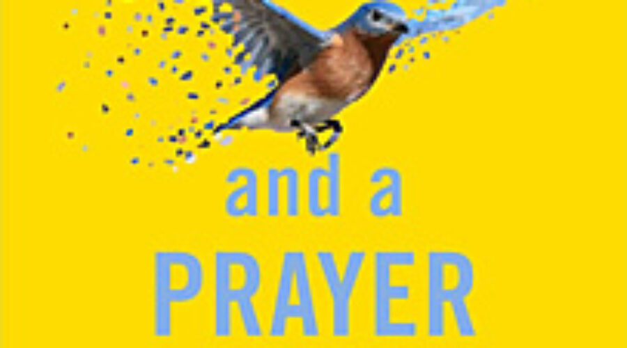 A Wing and a Prayer book cover