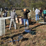 Volunteers begin planting trees