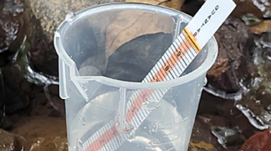 chloride testing strip in cup