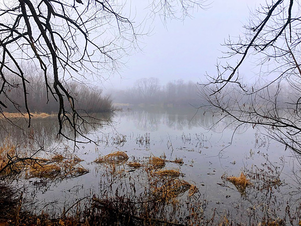 Dulles Greenway Wetlands in heavy fog