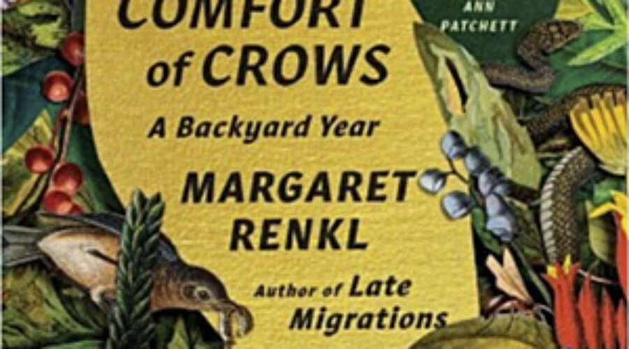 Cover of The Comfort of Crows book