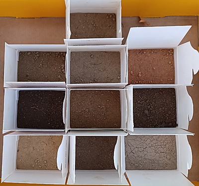 Soil samples in boxes