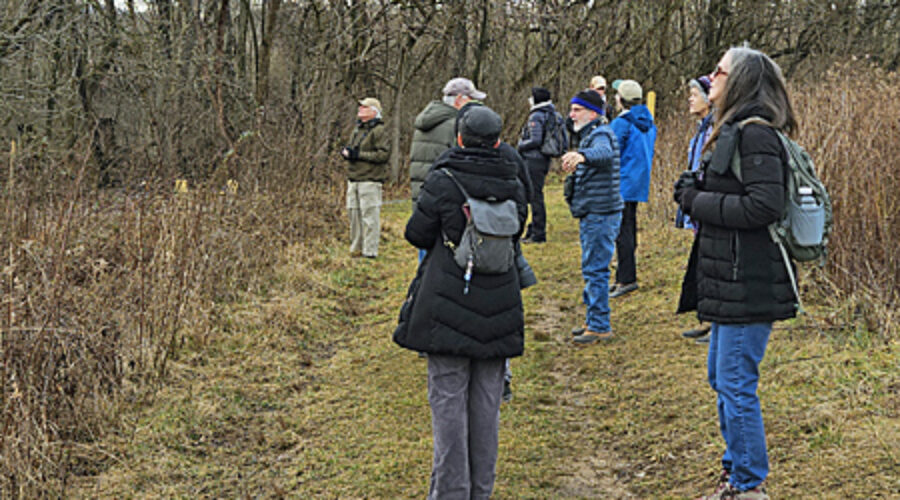 Birders at February walk