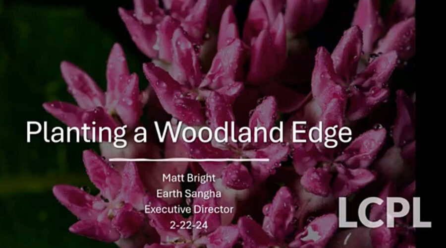 Planting a Woodland Edge presentation
