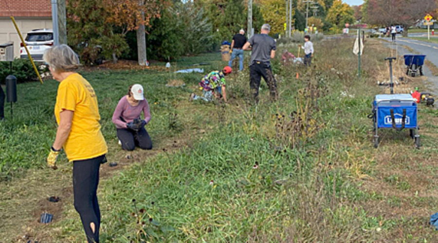 Volunteers plant native grasses