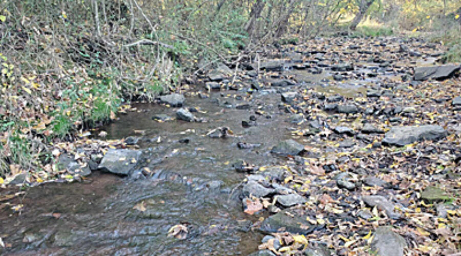 Beaverdam Run Tributary