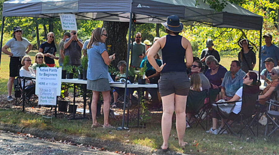 Native Plants for Beginners presentation