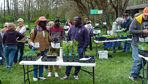 Shoppers at the Spring Native Plant Sale