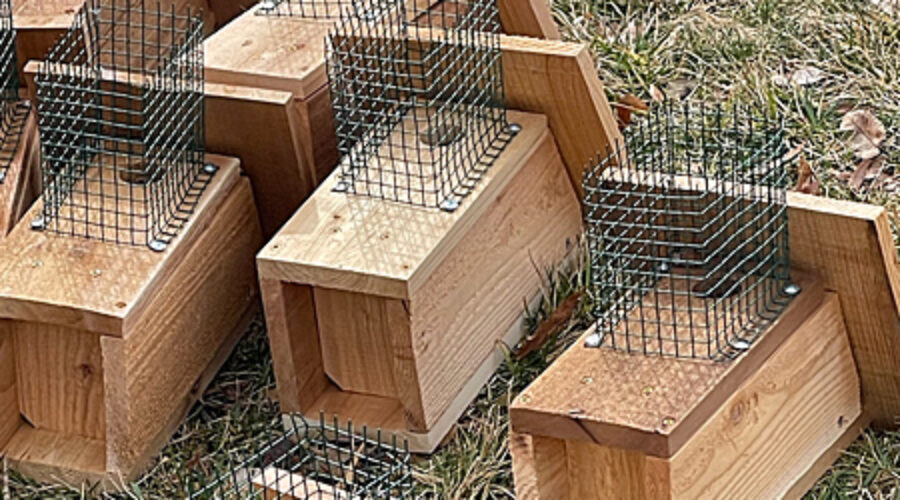 Bluebird nest boxes