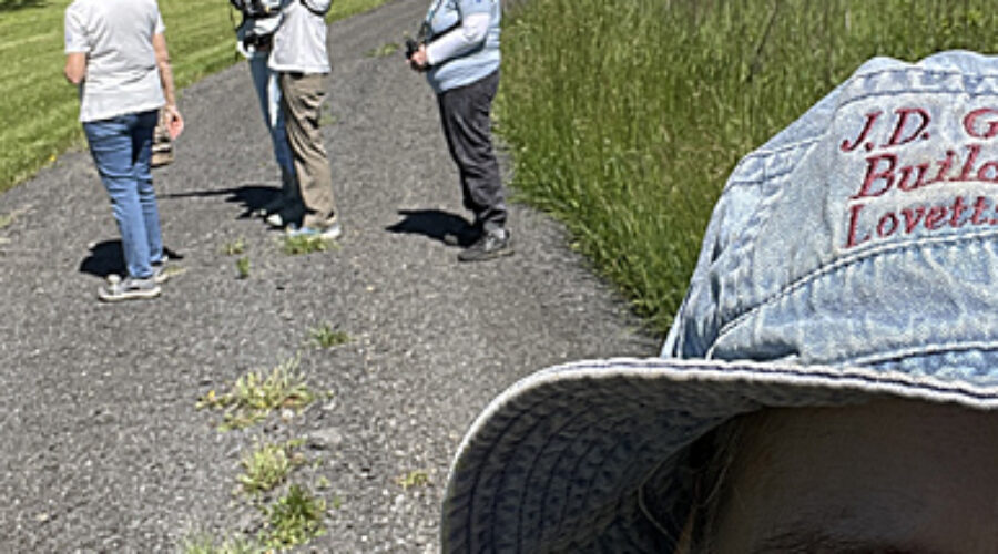 Birdathon team