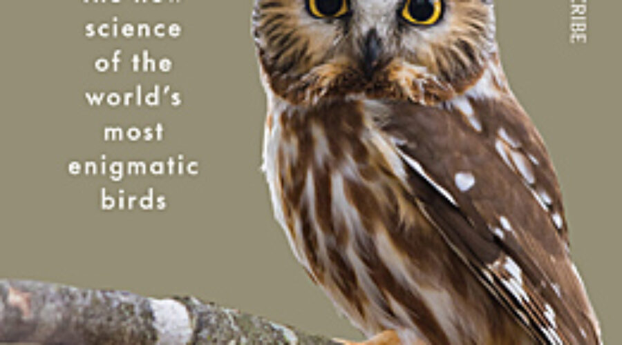 What An Owl Knows book cover