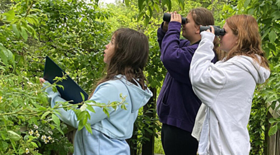 Ligi Nestlings Birdathon team
