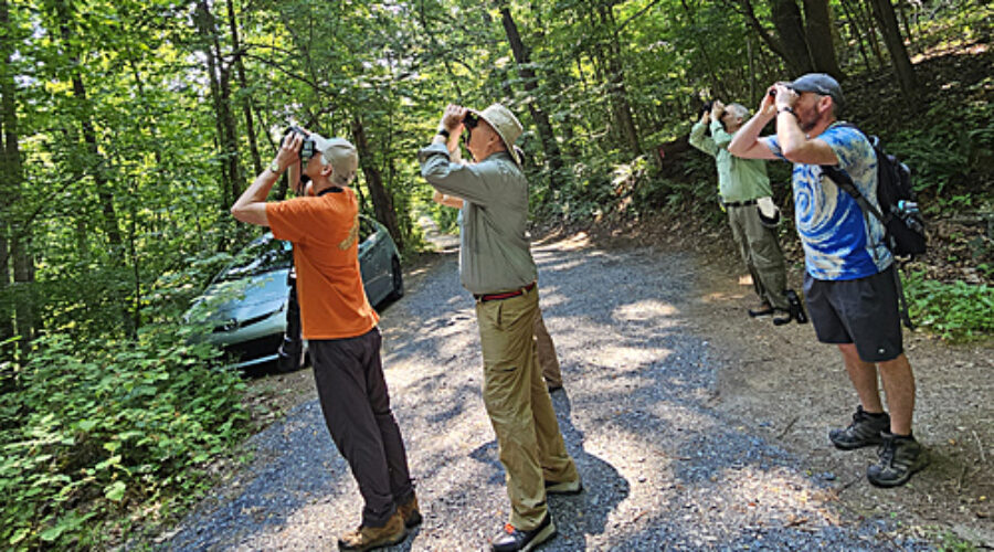 Bird Watching at Sweet Run State Park