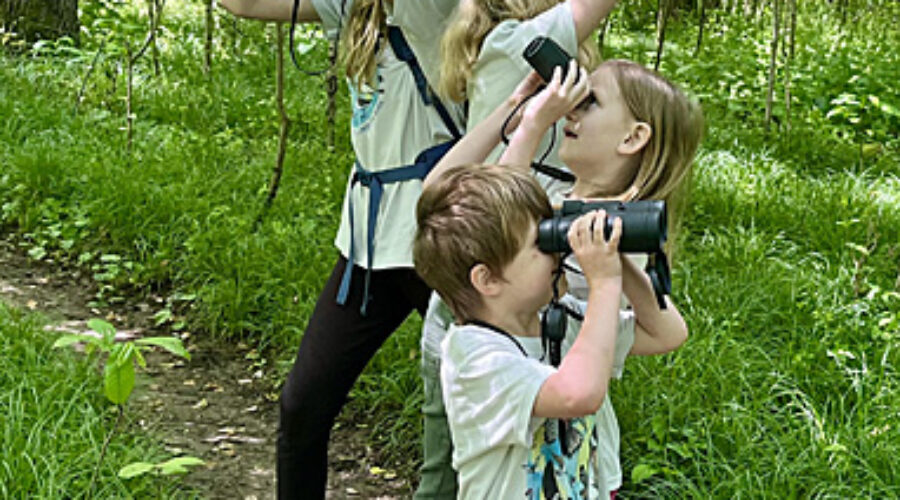 Birdathon team members