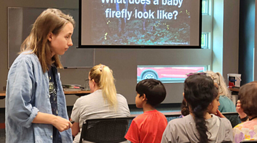 Firefly presentation