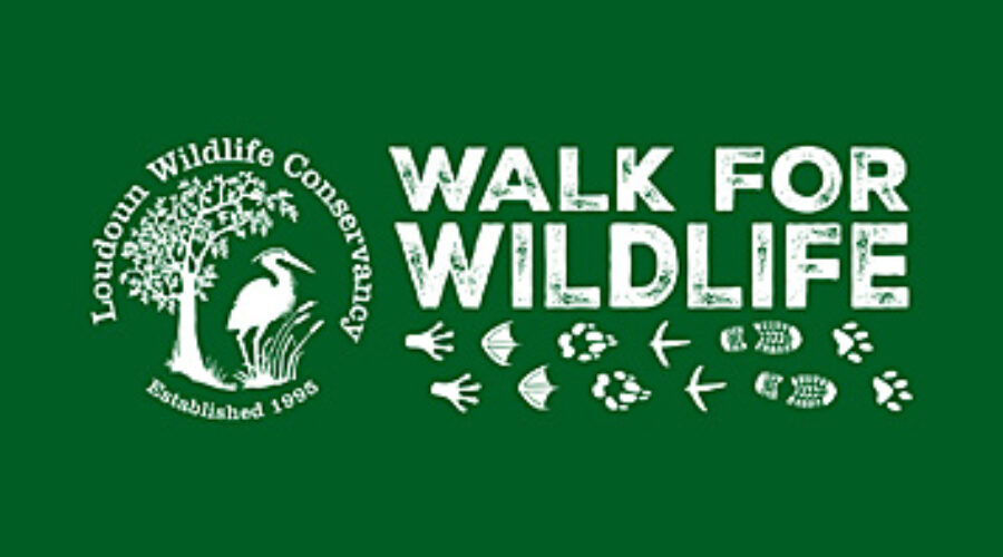 Walk for Wildlife