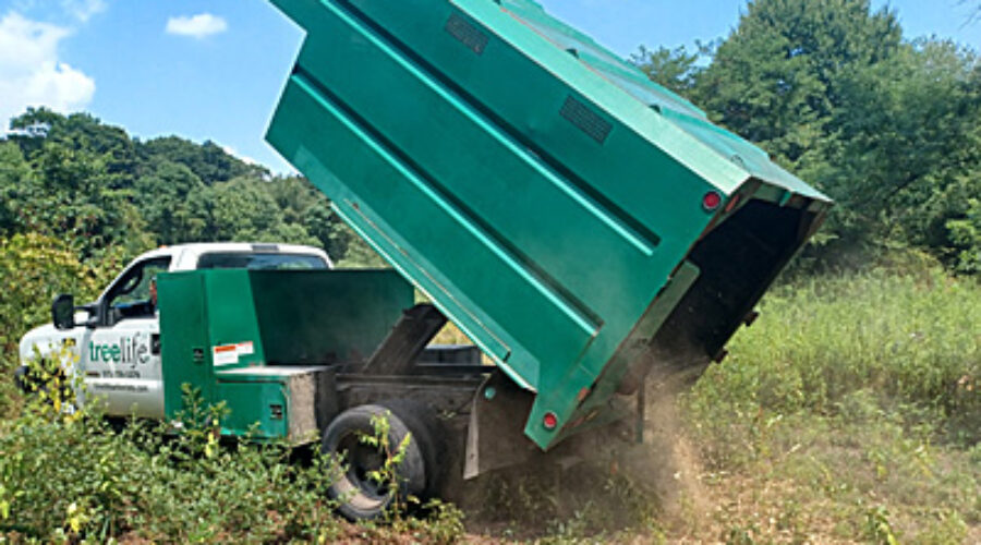 Treelife truck delivering chips