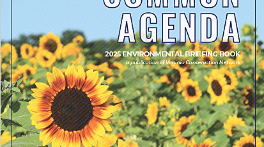 Our Common Agenda briefing book