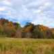 Walk for Wildlife at JK Black Oak