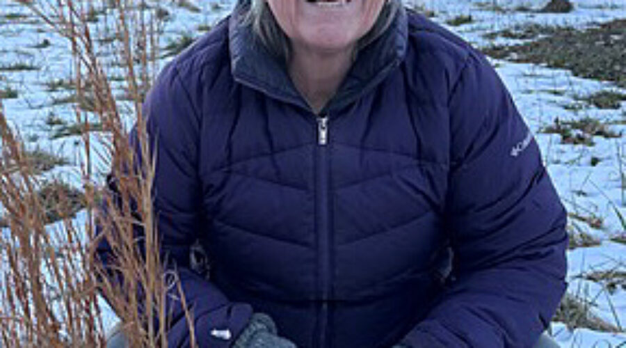 Nan McCarry