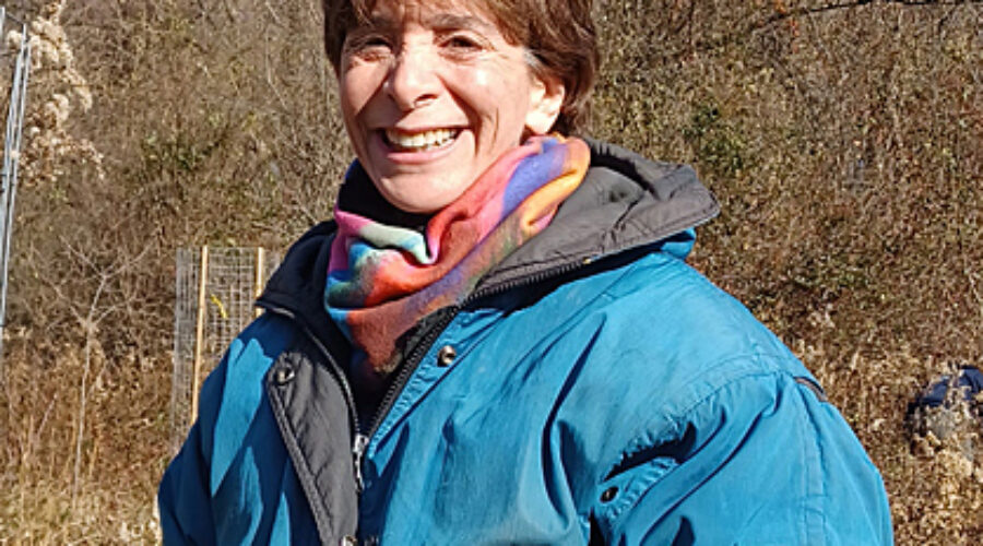 Sheryl Weitzel