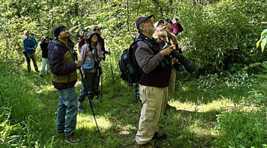 Bird walk at Banshee Reeks