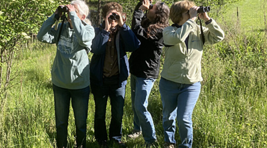 Birdathon team