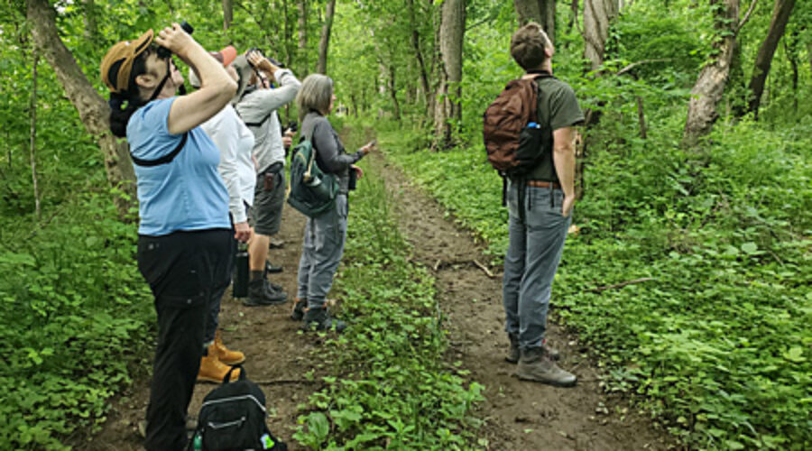 Birders at Rockland Farm