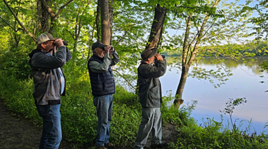Birdathon team in action