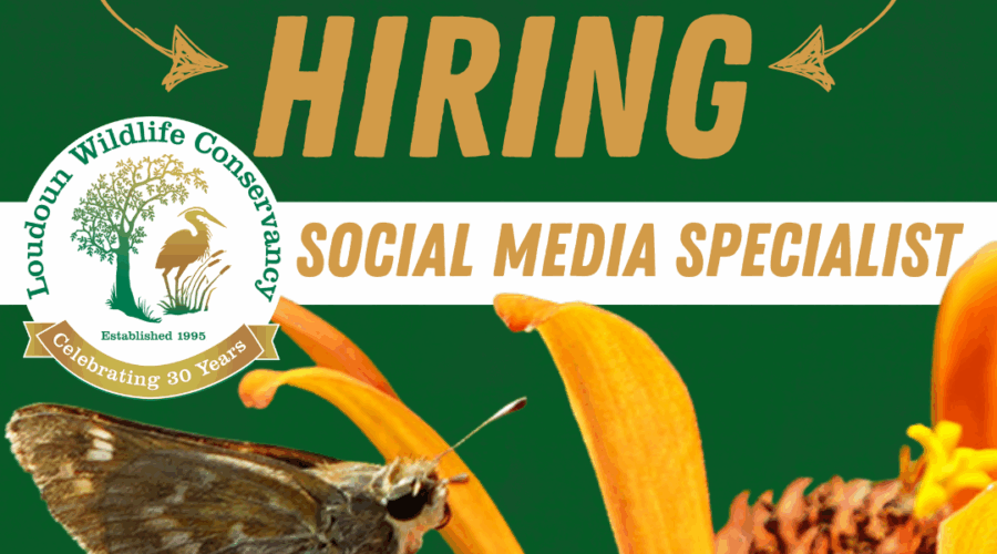 Loudoun Wildlife Conservancy: Social Media Specialist