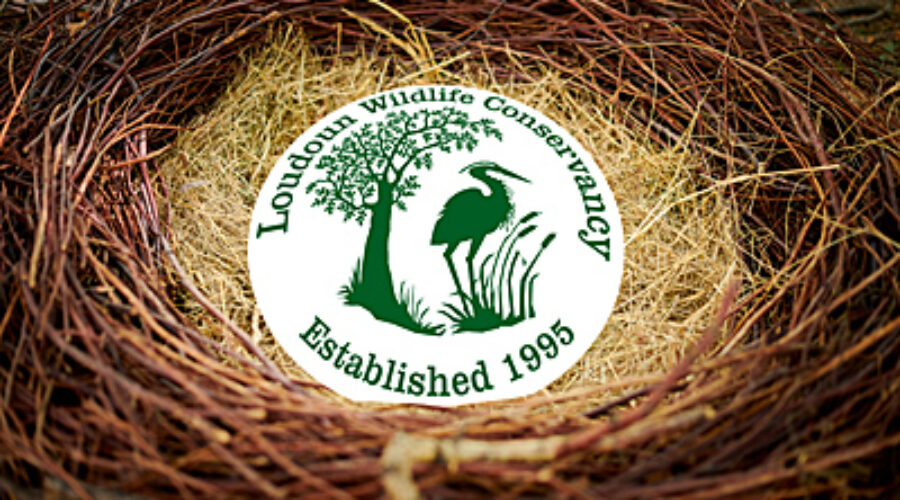 Loudoun Wildlife is looking for a new location.